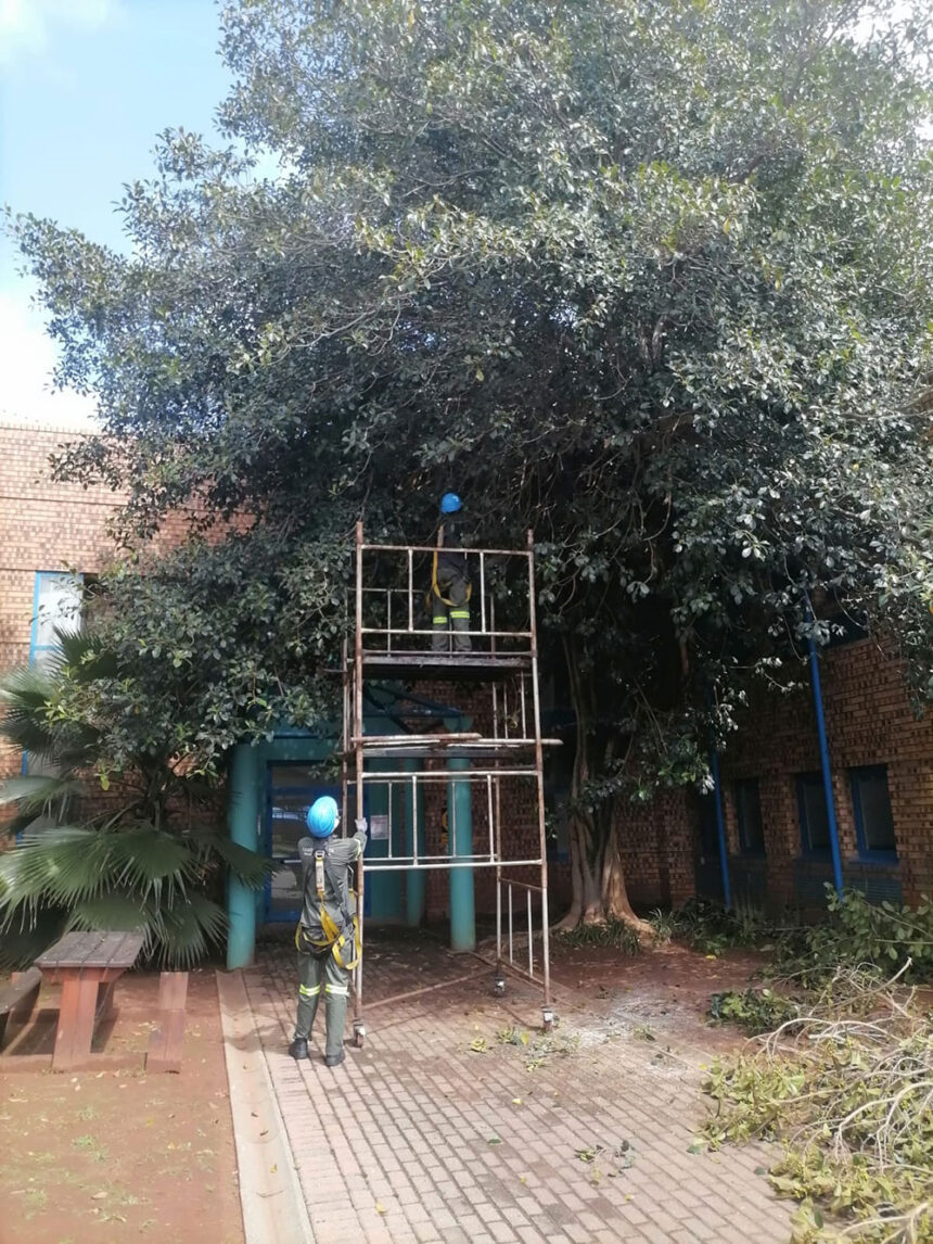 Camperdown Health, Hygiene and Specialised Cleaning Services