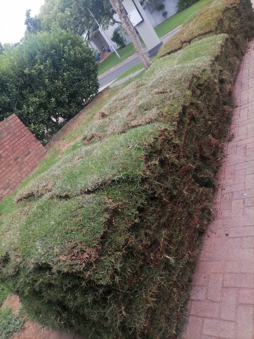 Camperdown Health, Hygiene and Specialised Cleaning Services