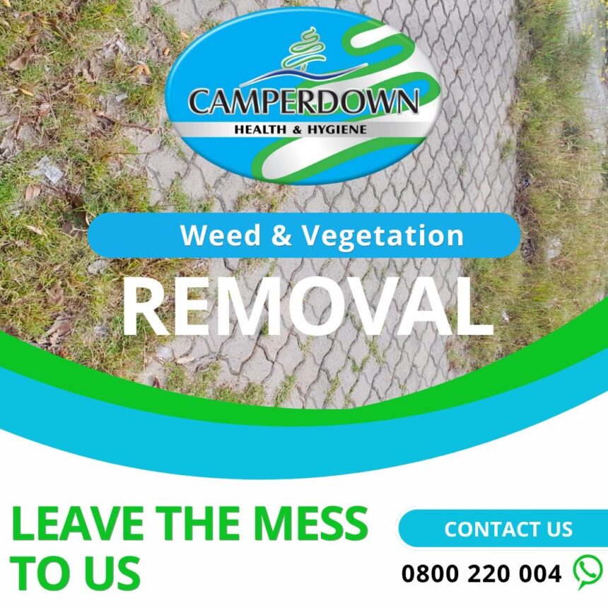 Camperdown Health, Hygiene and Specialised Cleaning Services